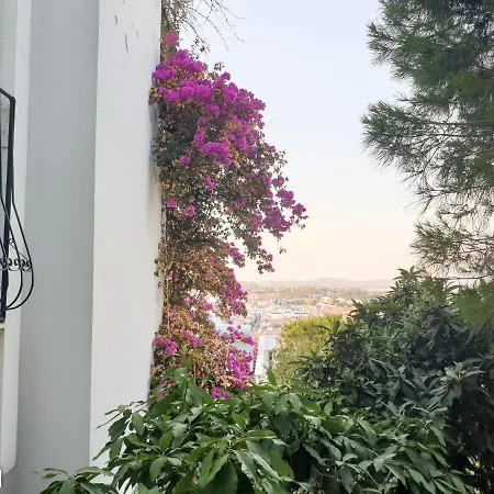 Large Duplex Apartment With Amazing Sea View * Datca